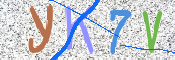 キャプチャ画像