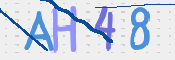 キャプチャ画像