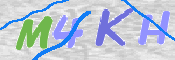 キャプチャ画像