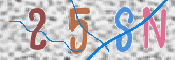 キャプチャ画像