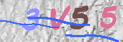 キャプチャ画像