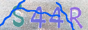 キャプチャ画像