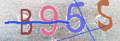 キャプチャ画像